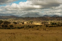 Australia - Tidbinbilla 4836